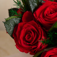 Jolie Grande - Rose