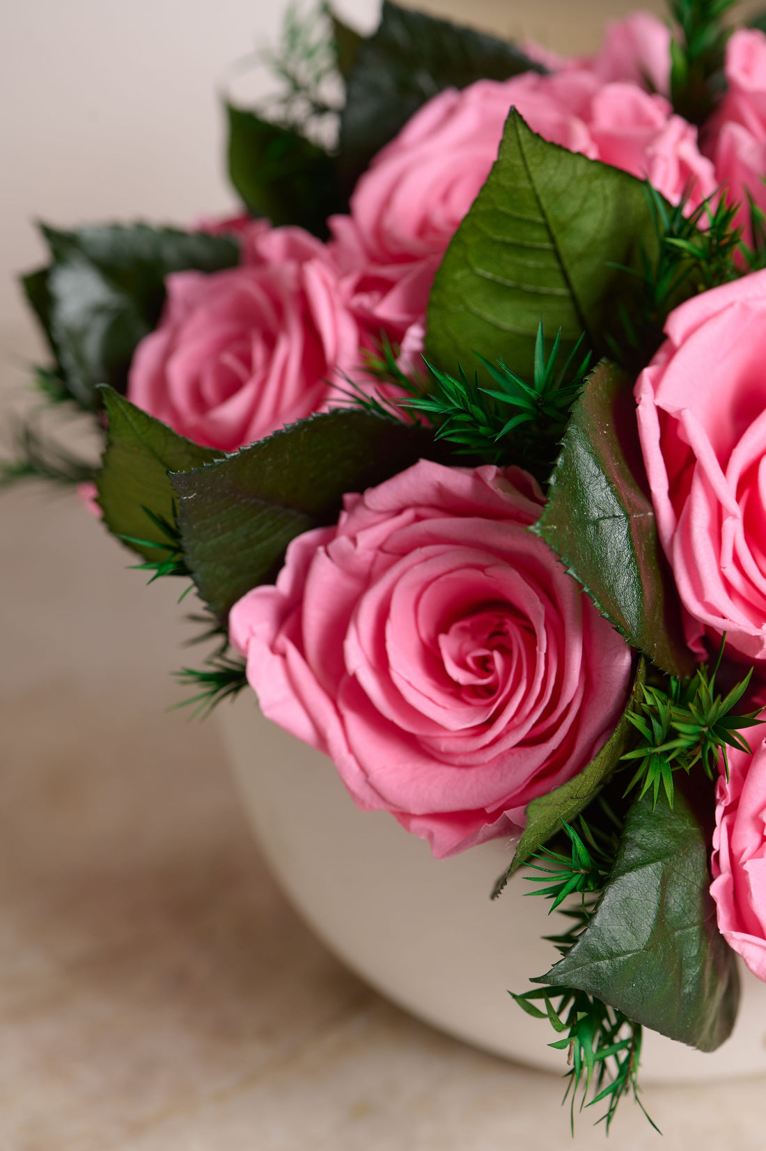 Jolie Grande - Rose