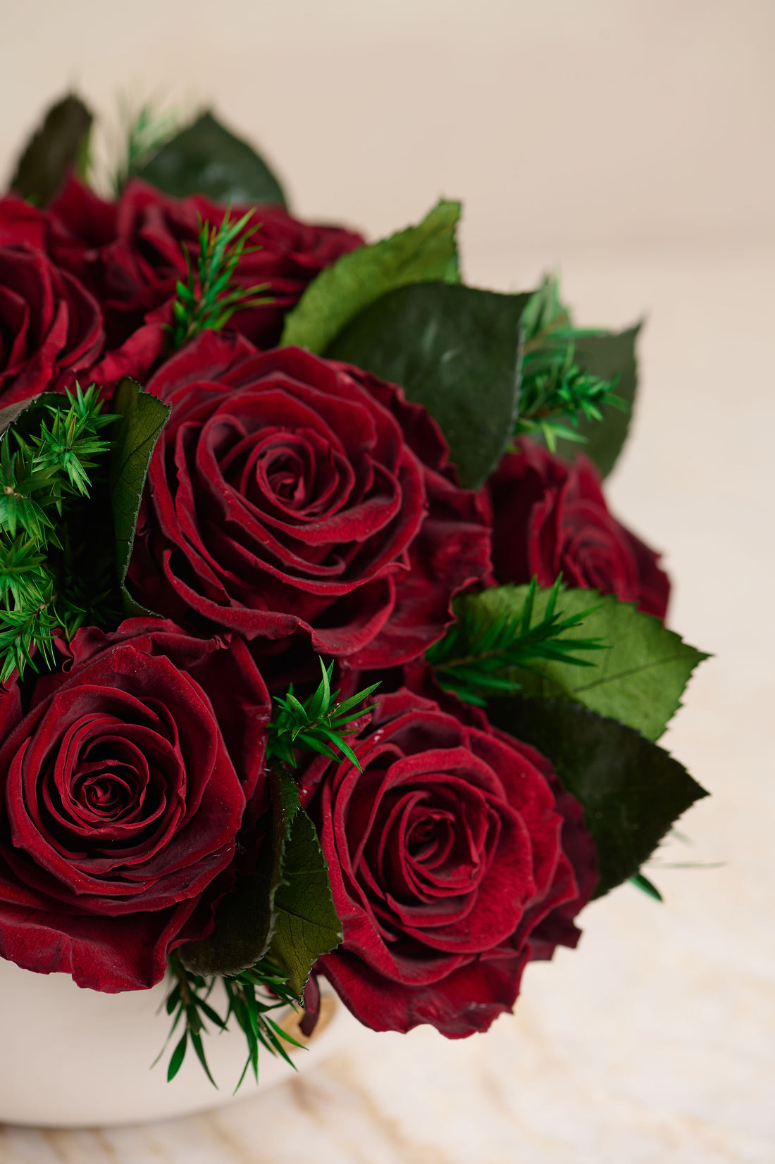 Jolie Grande - Rose
