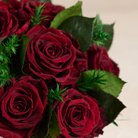 Jolie Grande - Rose