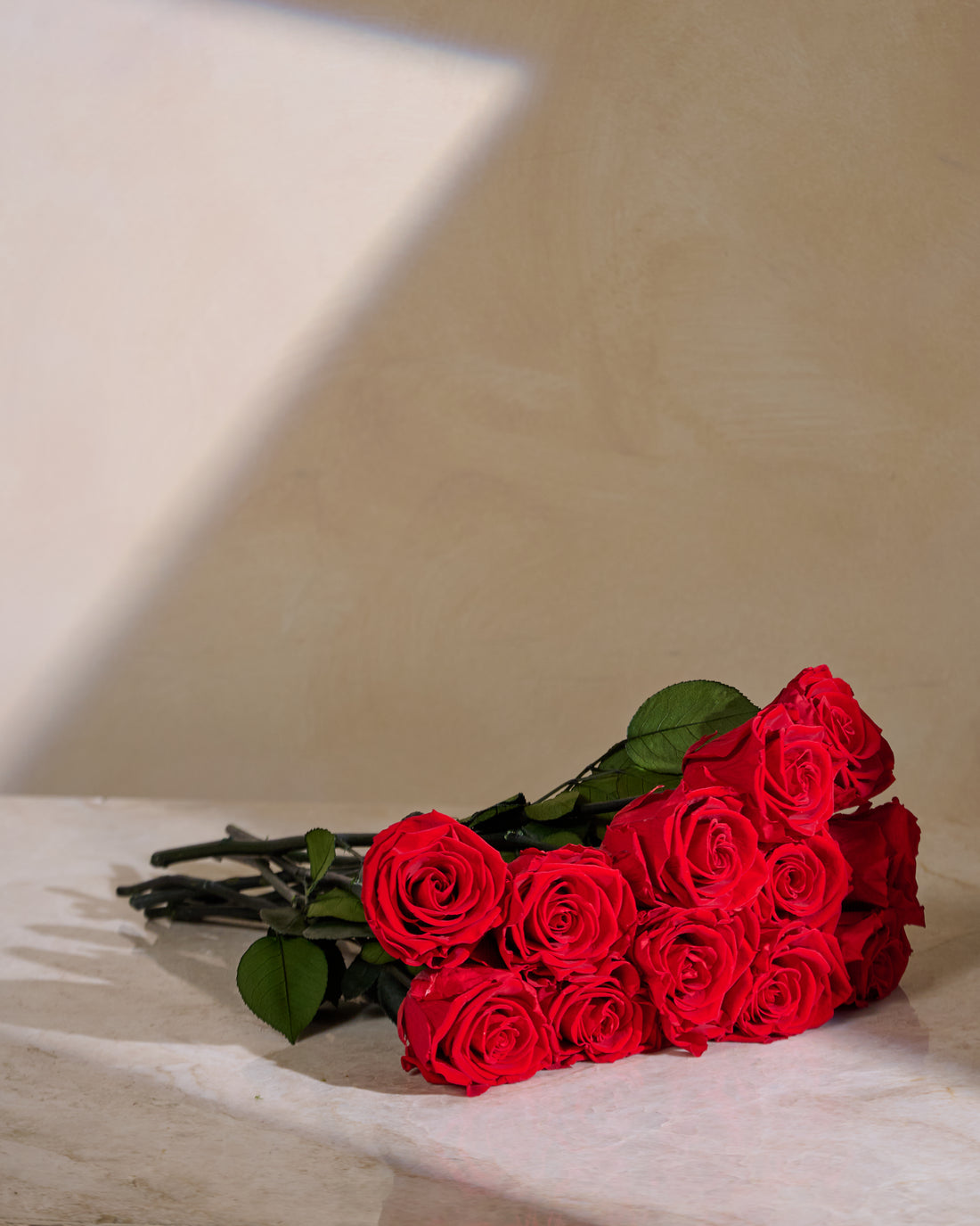 Dozen Long Stems Roses
