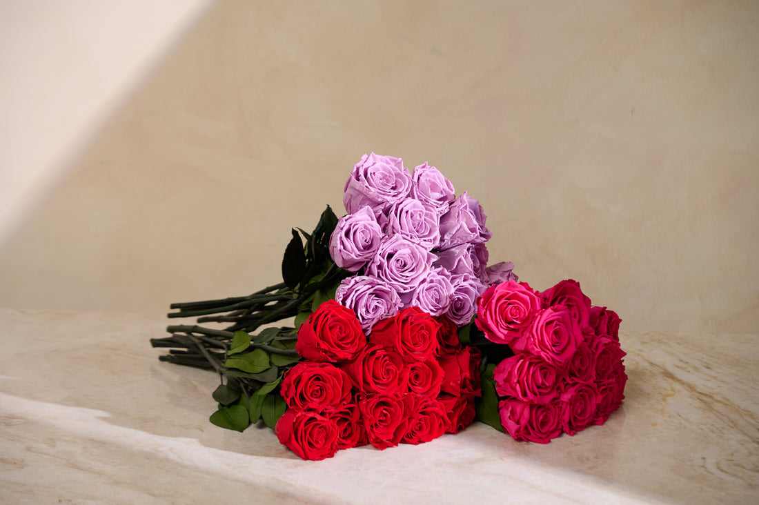Dozen Long Stems Roses