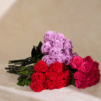 Dozen Long Stems Roses