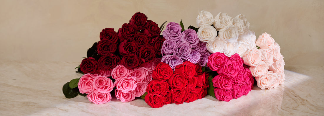 Dozen Long Stems Roses