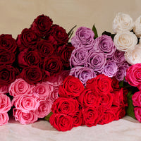 Dozen Long Stems Roses
