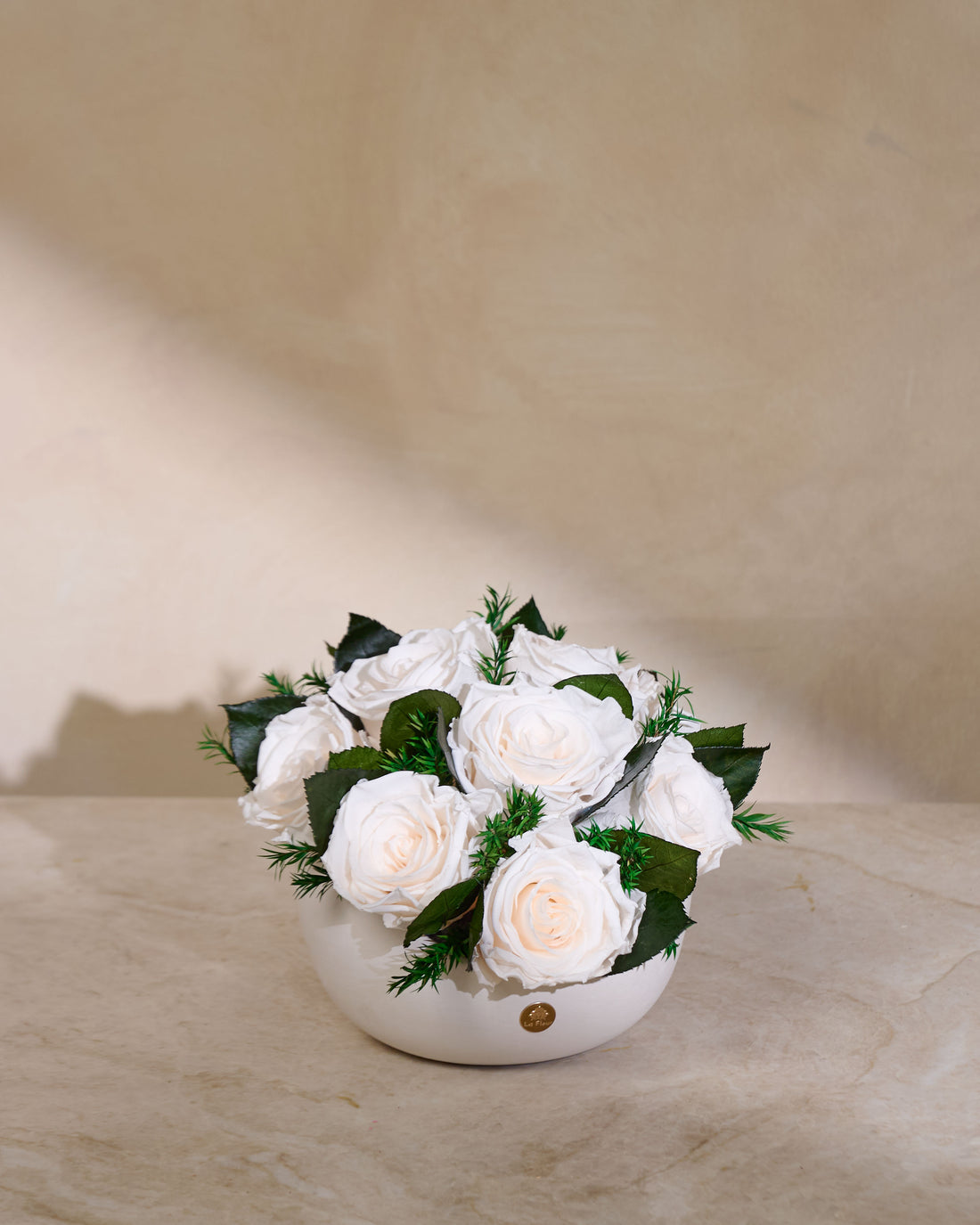 Jolie Grande - Rose