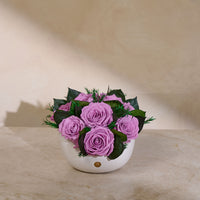 Jolie Grande - Rose