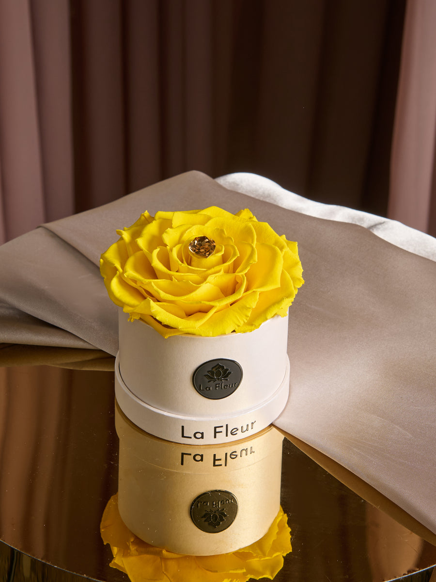 LFMother_sDay261021821_900x.