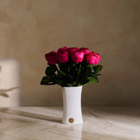 Creme Dozen Peony Rosette