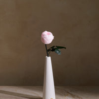 Peony Rosette Single Stem