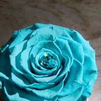 Birthstone Collection - December
