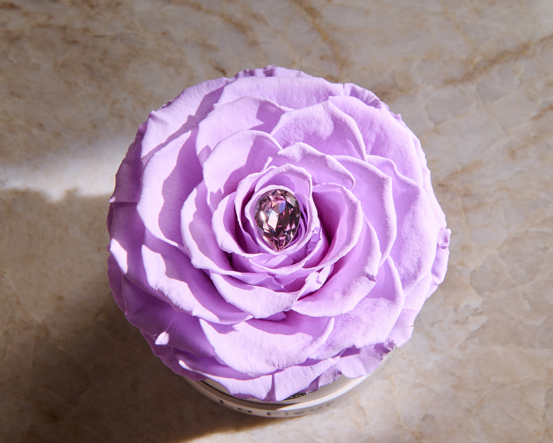 Birthstone Collection - February