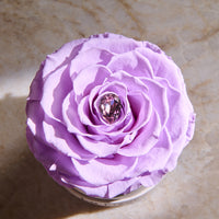 Birthstone Collection - February