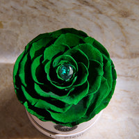 Birthstone Collection - May