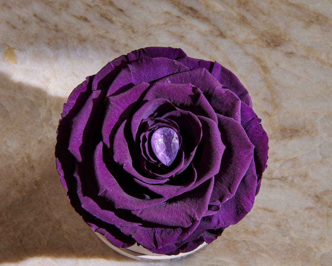 Birthstone Collection - June