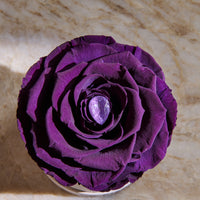 Birthstone Collection - June