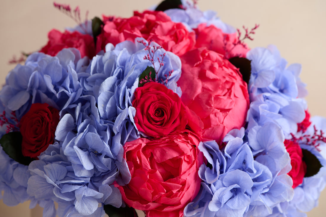 Fleurever Dôme