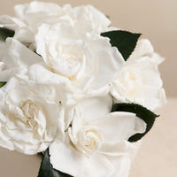 Jolie Grande - Gardenia