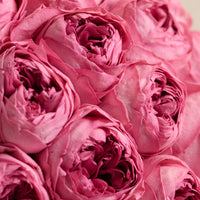 Grande Creme Peony Rosette