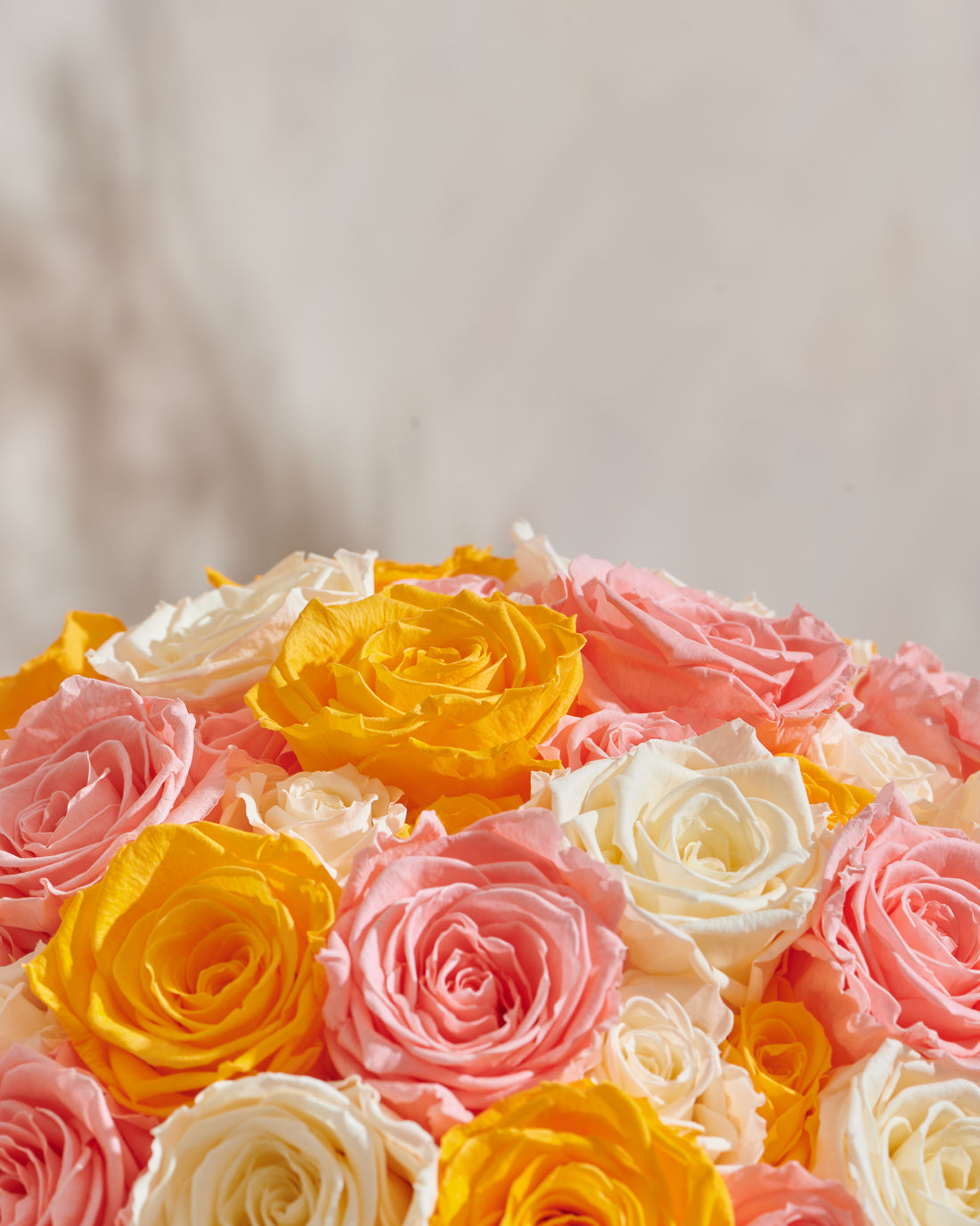 Grandiose Roses
