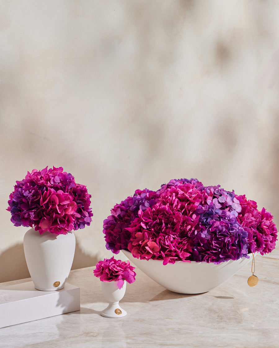 Grandiose Hydrangea