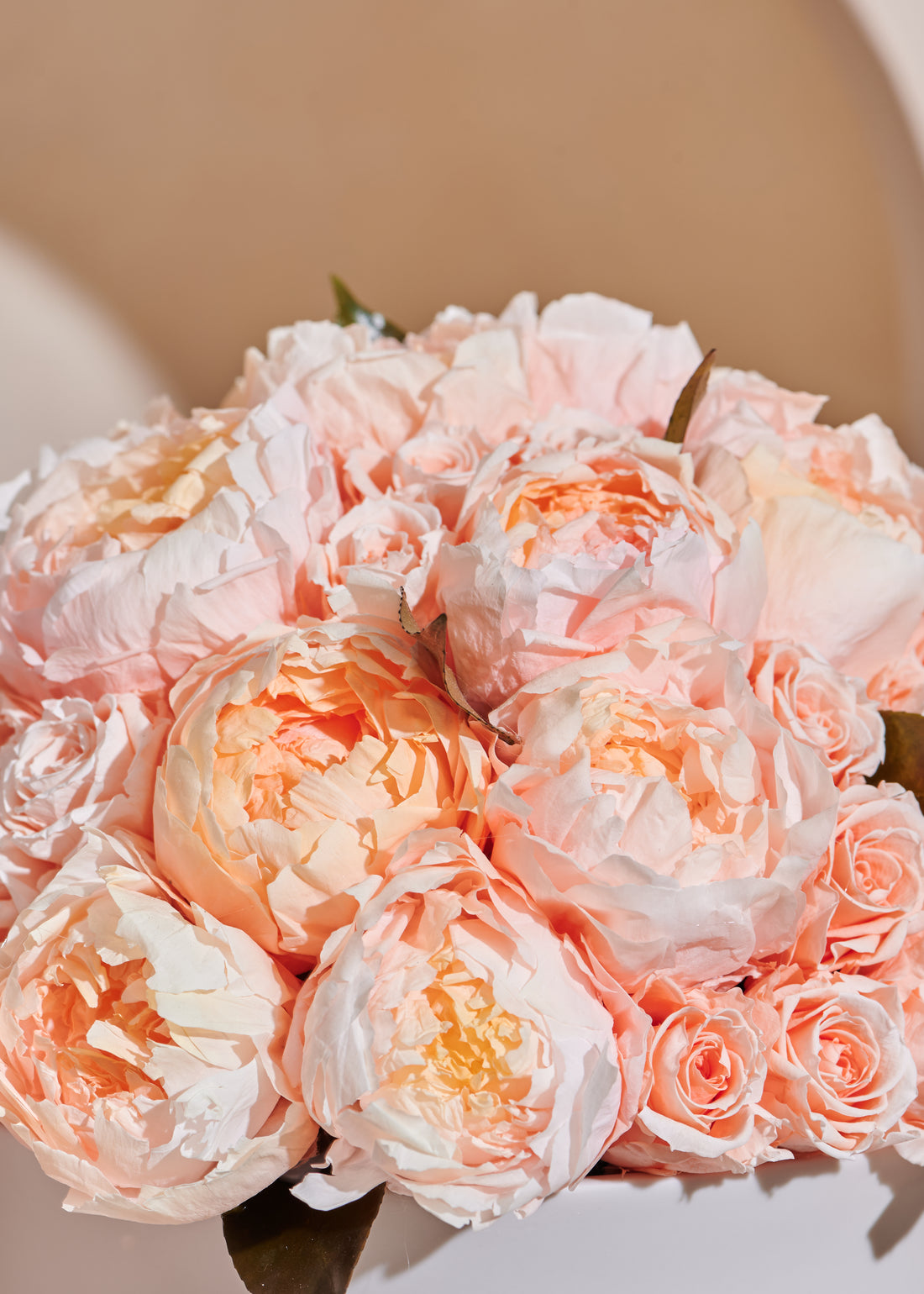 Grande Creme Peony + Rose Dôme