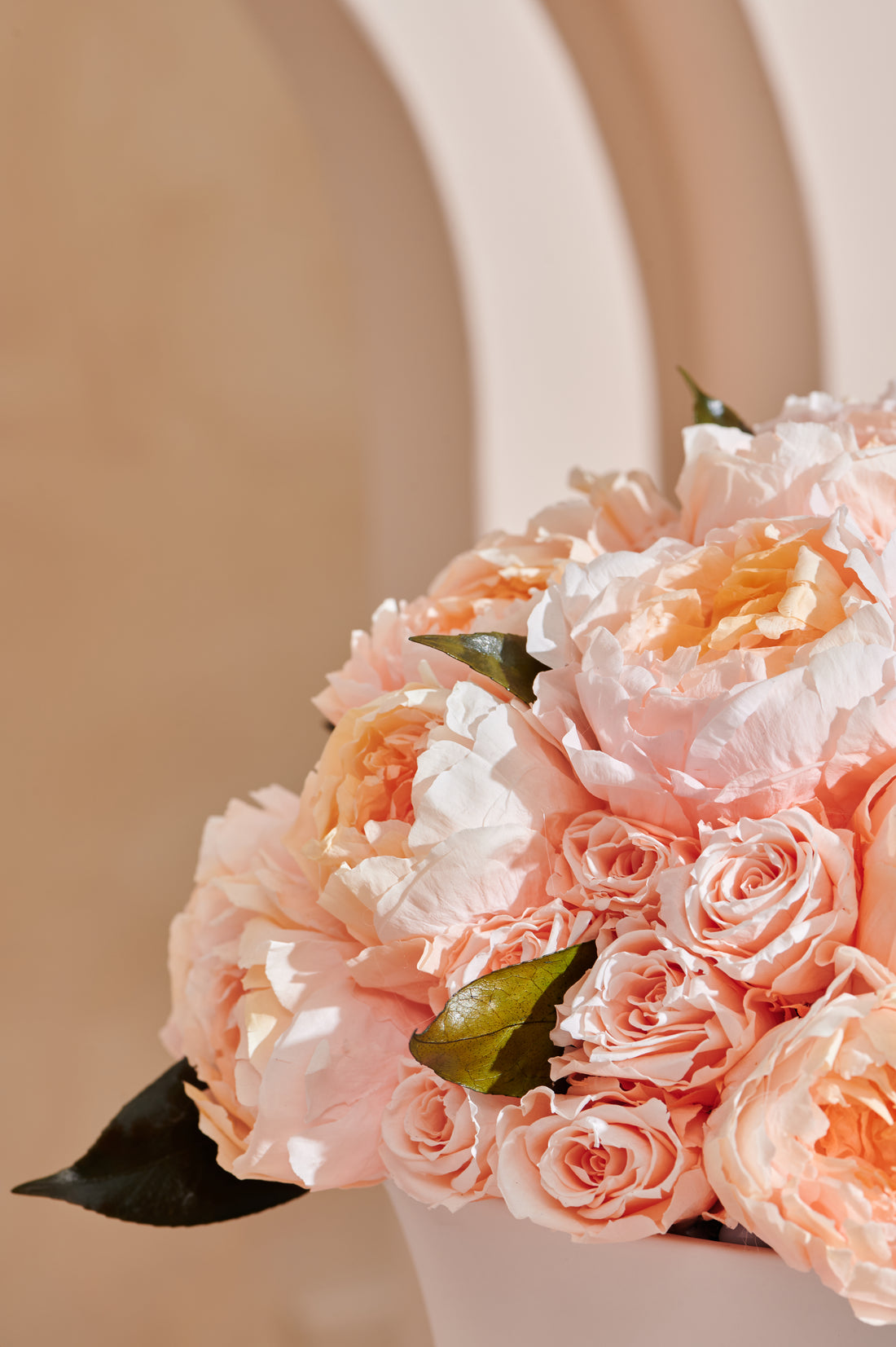 Grande Creme Peony + Rose Dôme