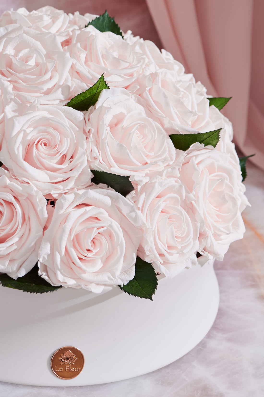 Majesté Roses