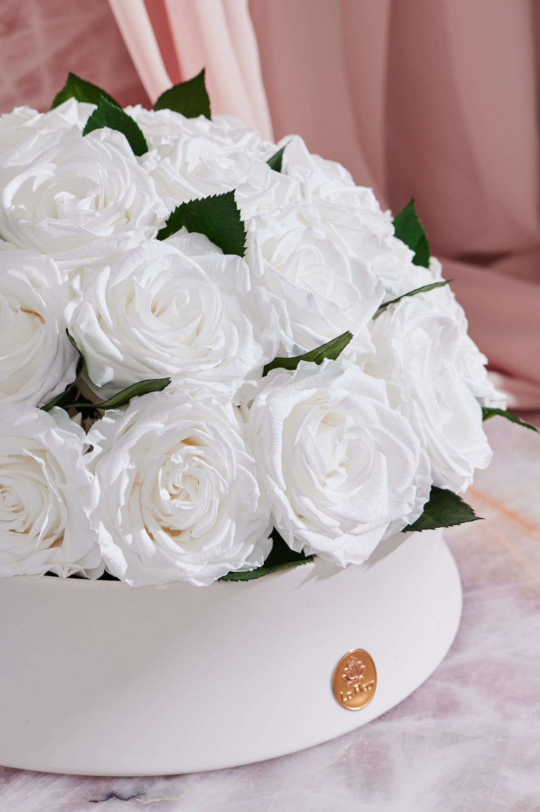 Majesté Roses