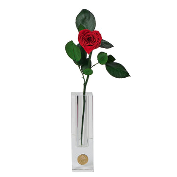 Crystal Love Stem by La Fleur Lifetime Flowers