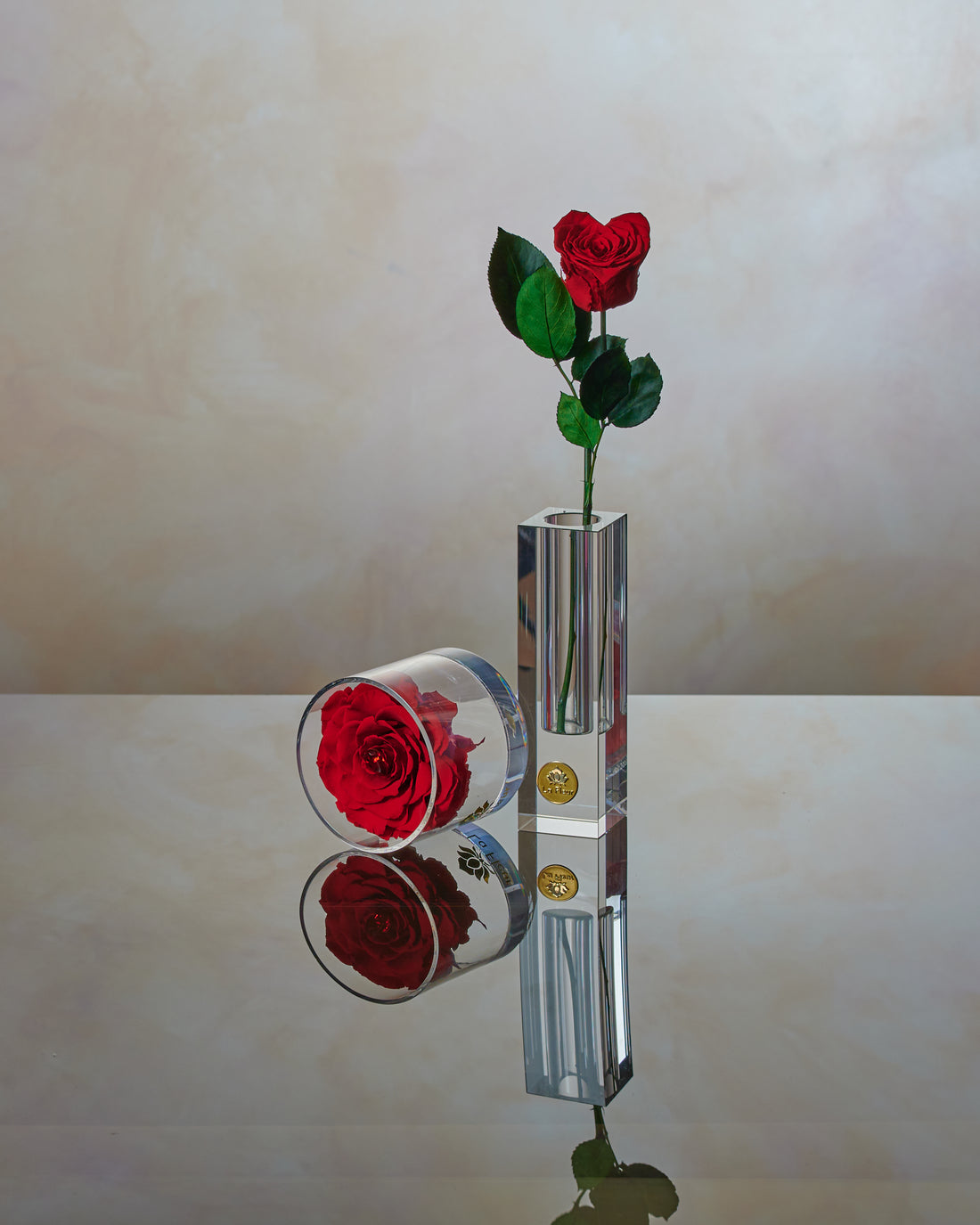 Crystal Love Stem by La Fleur Lifetime Flowers