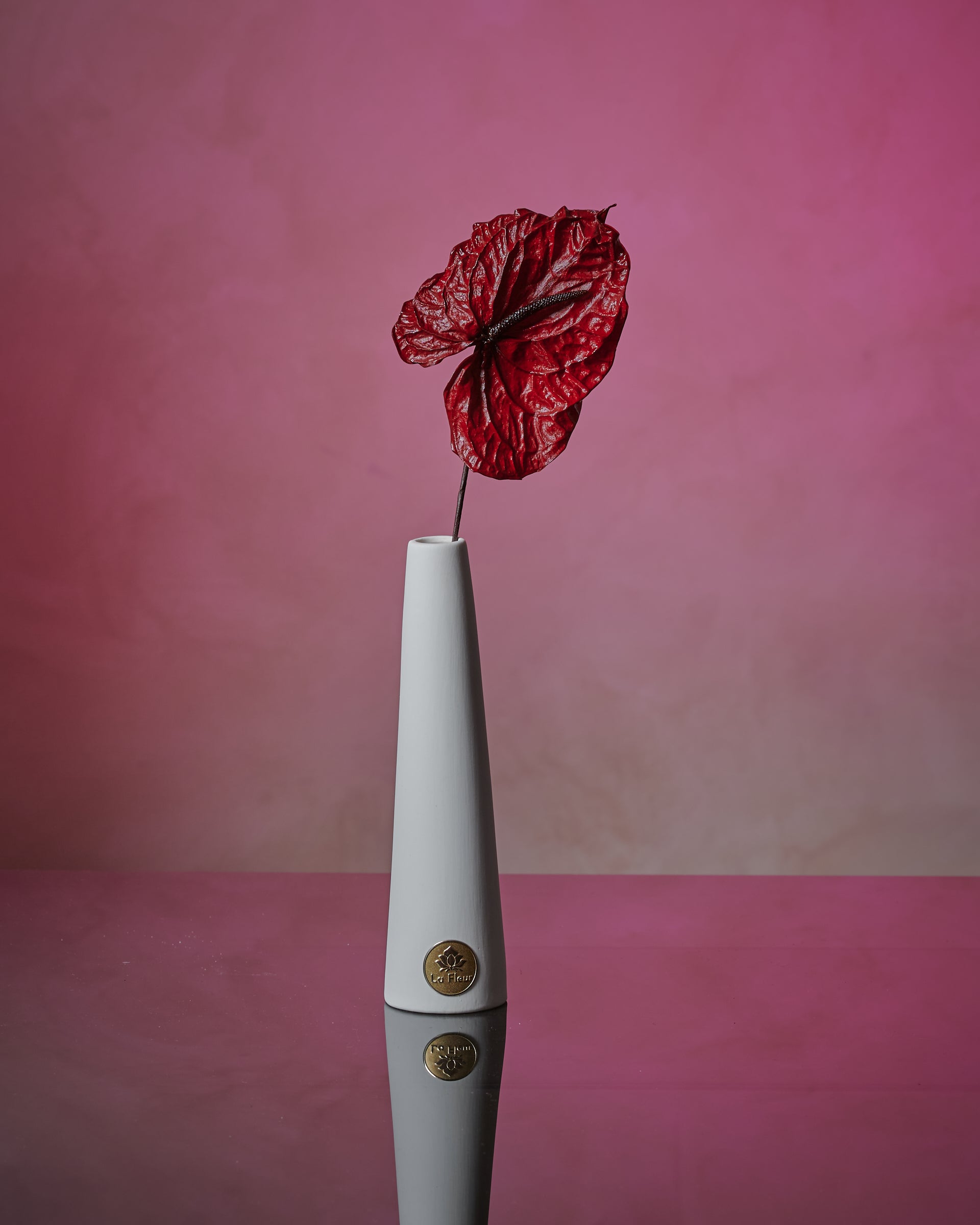 Anthurium Single Stem by La Fleur Lifetime Flowers