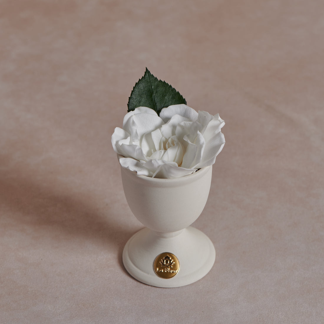 Creme Gardenia Mini by La Fleur Lifetime Flowers