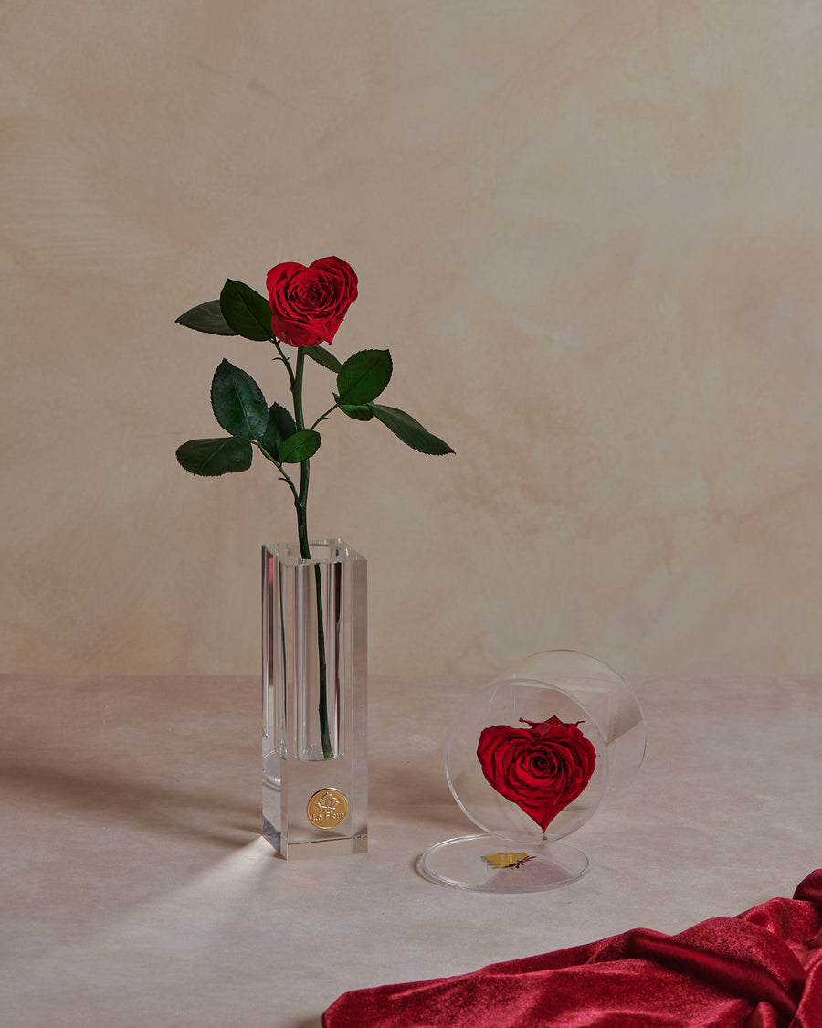 Crystal Love Stem by La Fleur Lifetime Flowers