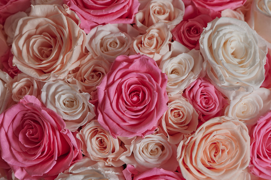 Grandiose Roses by La Fleur Lifetime Flowers