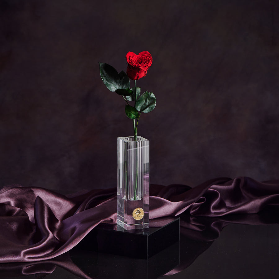 Crystal Love Stem by La Fleur Lifetime Flowers