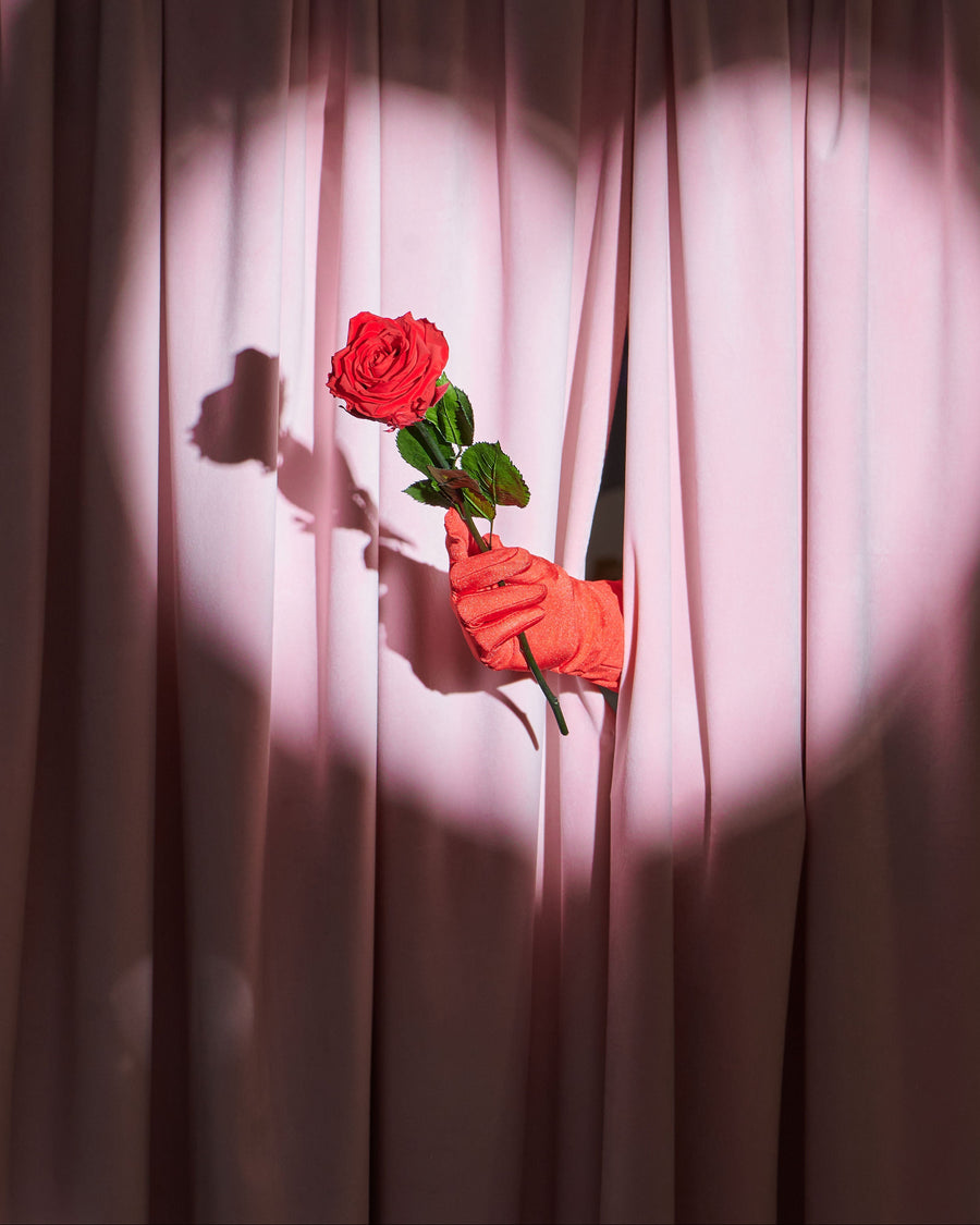 Single Long Stem - Rose