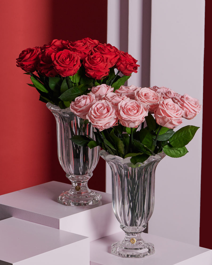 Amour Dozen