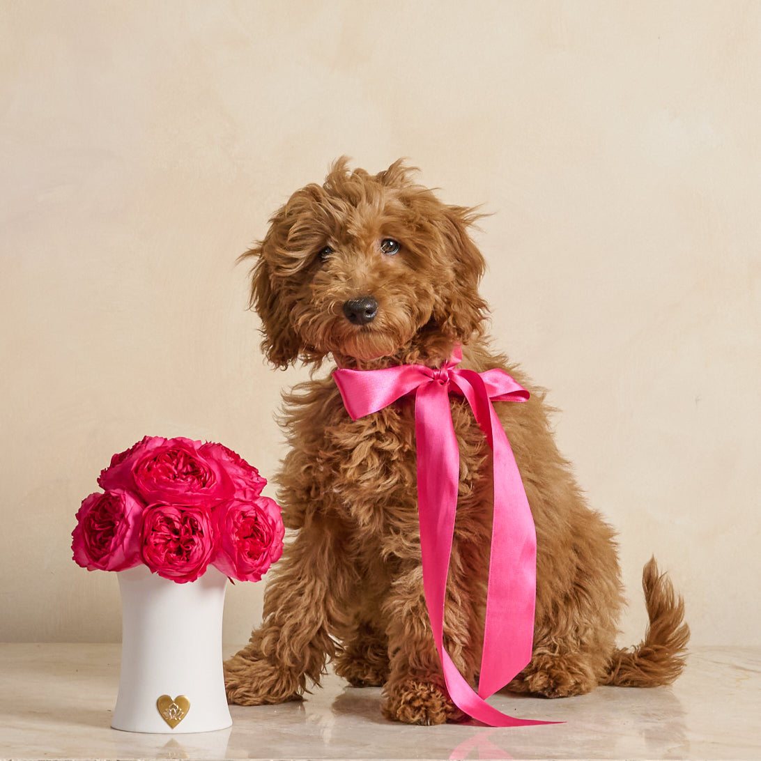 Creme Peony Rosette Dôme