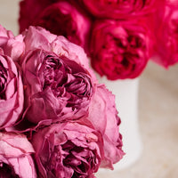 Creme Peony Rosette Dôme