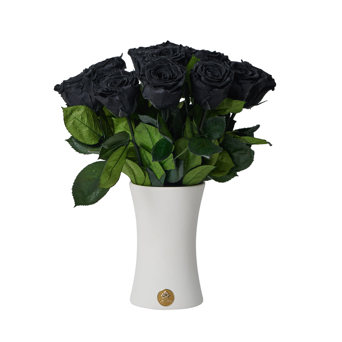 Creme Dozen Long Stems by La Fleur Lifetime Flowers