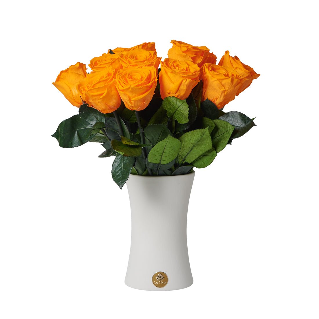 Creme Dozen Long Stems by La Fleur Lifetime Flowers