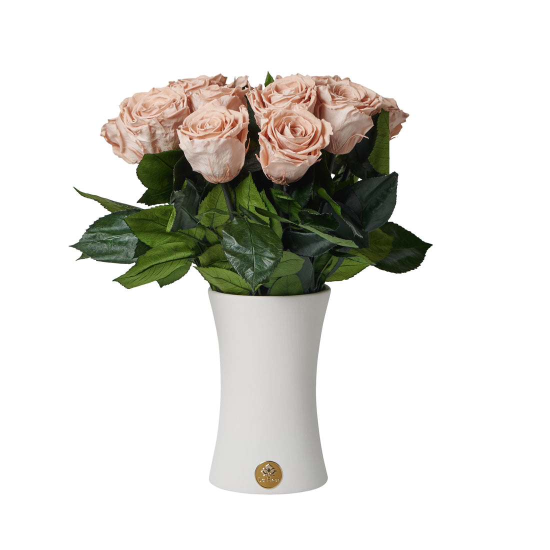 Creme Dozen Long Stems by La Fleur Lifetime Flowers