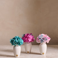 Creme Hydrangea Mini