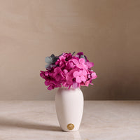 Creme Hydrangea Mini