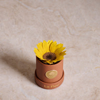 BLACK FRIDAY SPECIAL: Sunflower Mini