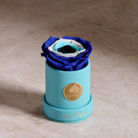 BLACK FRIDAY SPECIAL: Leather Mini