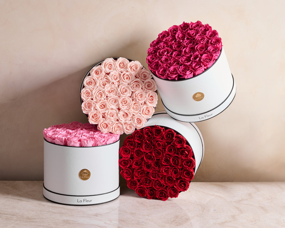 BLACK FRIDAY SPECIAL: Grande Round