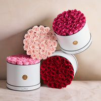 BLACK FRIDAY SPECIAL: Grande Round