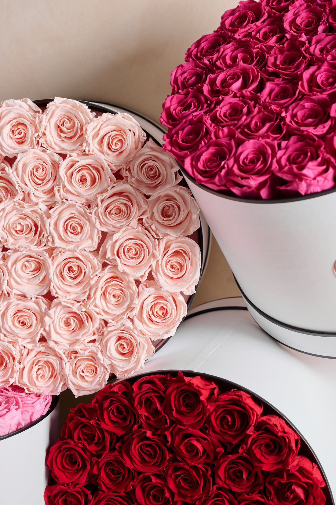 BLACK FRIDAY SPECIAL: Grande Round